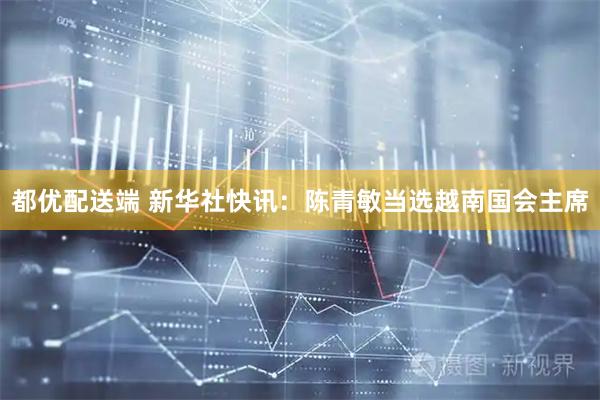都优配送端 新华社快讯：陈青敏当选越南国会主席